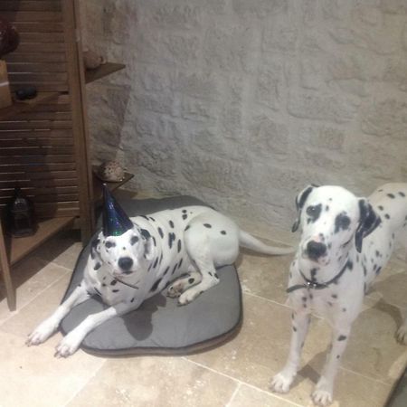 Bed and Breakfast Le Sang Des Vignes Monbazillac Esterno foto
