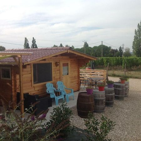 Bed and Breakfast Le Sang Des Vignes Monbazillac Esterno foto