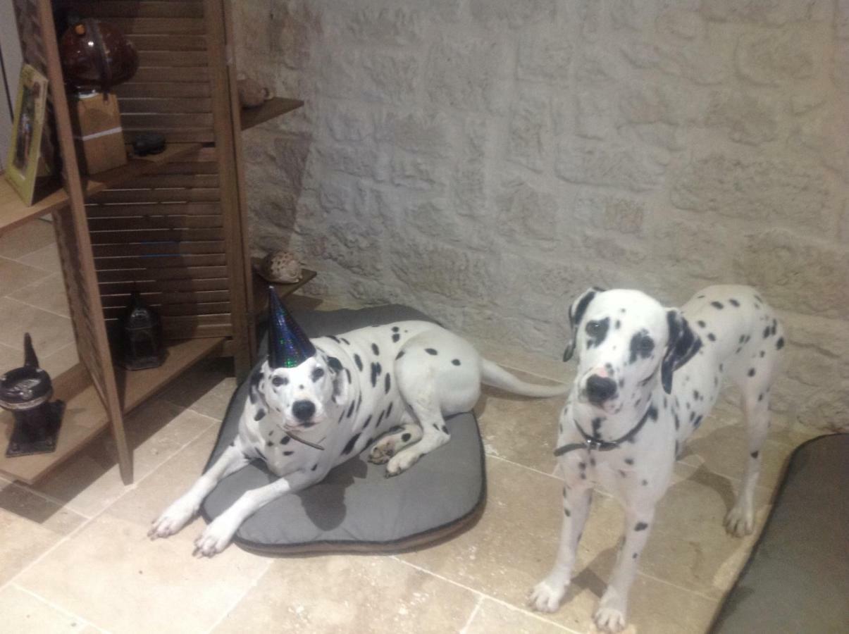Bed and Breakfast Le Sang Des Vignes Monbazillac Esterno foto